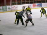 Photo hockey reportage Trophée Fédéral : 1/2 finales à Amiens 