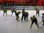 Photo hockey reportage Trophée Fédéral : 1/2 finales à Amiens 