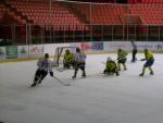 Photo hockey reportage Trophée Fédéral : 1/2 finales à Amiens 