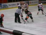 Photo hockey reportage Trophée Fédéral : 1/2 finales à Amiens 