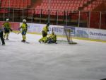 Photo hockey reportage Trophée Fédéral : 1/2 finales à Amiens 