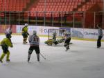Photo hockey reportage Trophée Fédéral : 1/2 finales à Amiens 