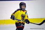 Photo hockey reportage U11 : Dos à dos