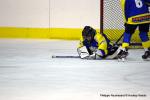 Photo hockey reportage U11 : Dos à dos