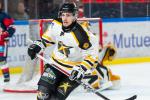 Photo hockey reportage U20 - Grenoble tout en maîtrise face à Strasbourg